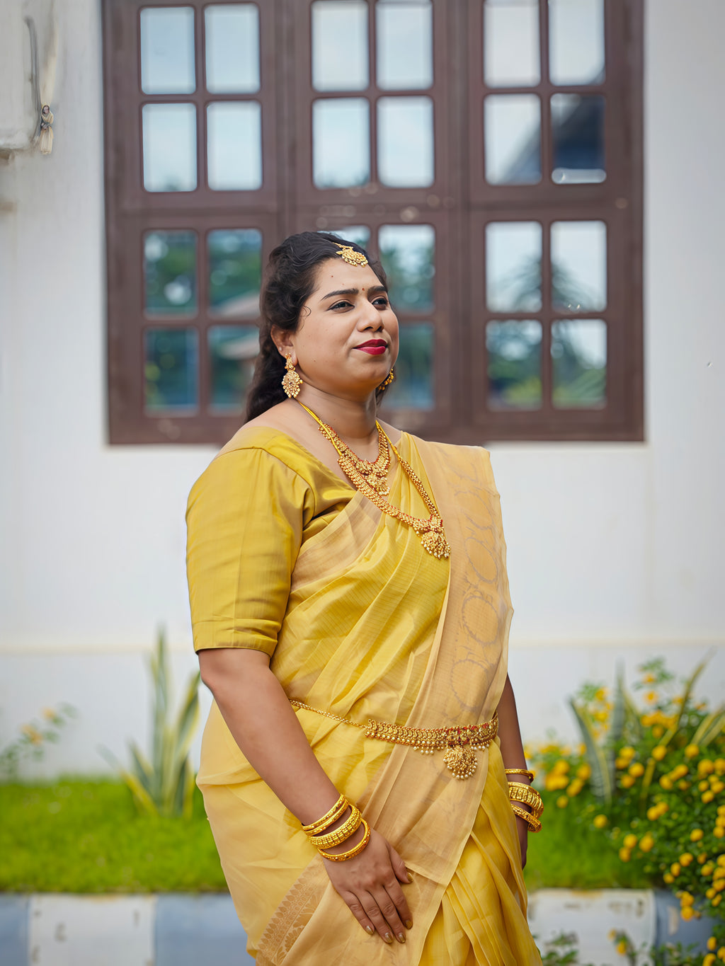 Premium Golden Banarasi Tissue Silk Saree with Rich Zari Weaving