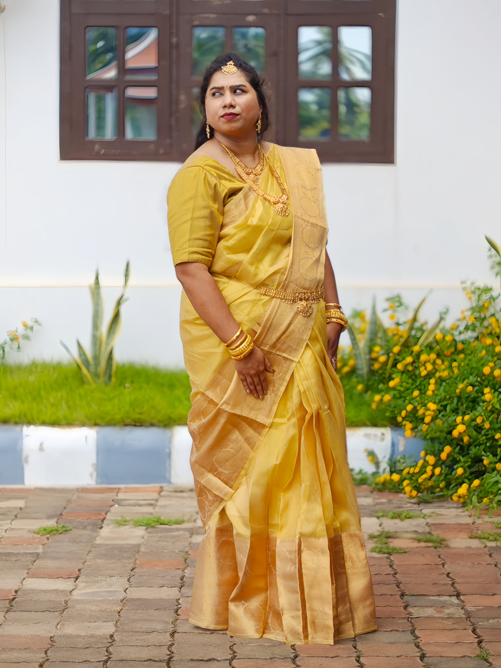 Premium Golden Banarasi Tissue Silk Saree with Rich Zari Weaving